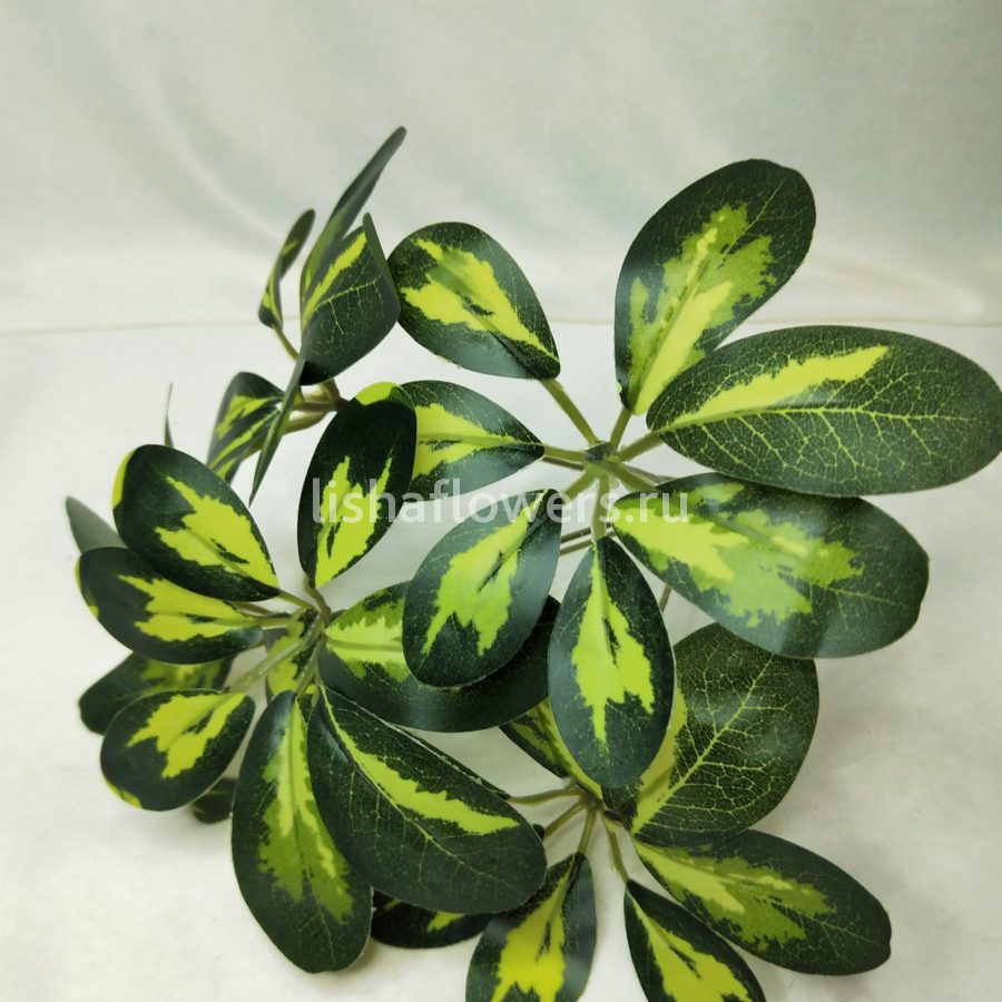 Фикус 35 см. Арт.3107-1